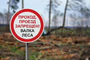 Таблички ПВХ 50х50см «Валка леса» — фото 2