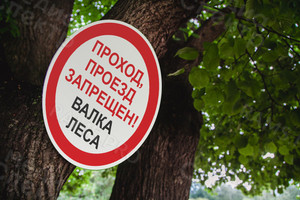 Таблички ПВХ 50х50см «Валка леса» — фото 1