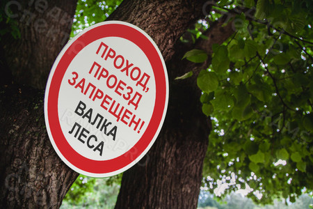 Таблички ПВХ 50х50см «Валка леса» — фото