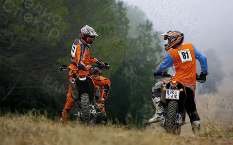 Наклейки «Стартовые номера: лесные тропы» — фото