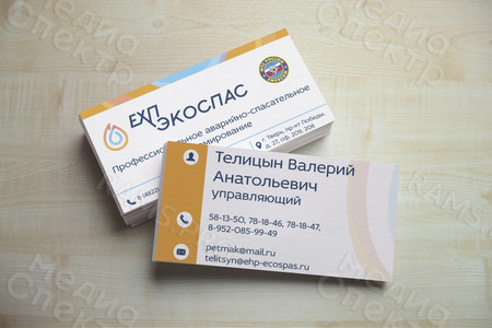 Визитка для управляющего компанией «ЕХП-ЭКОСПАС» — фото