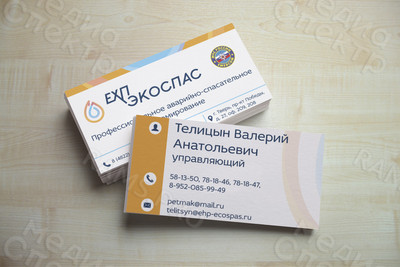 Визитка для управляющего компанией «ЕХП-ЭКОСПАС» — фото