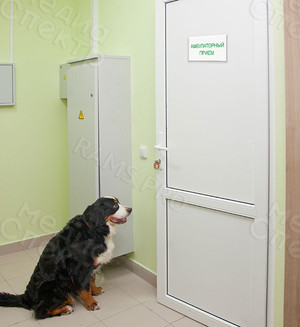 Таблички для Ветеринарной клиники г. Кашин — фото 8