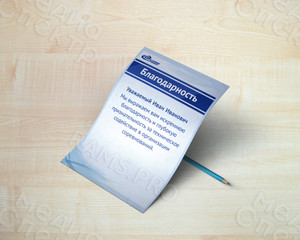 Благодарность для сотрудников ООО «Эко-Сервис» — фото 2