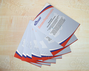 Благодарность официальная ООО «Эко-Сервис» — фото 2