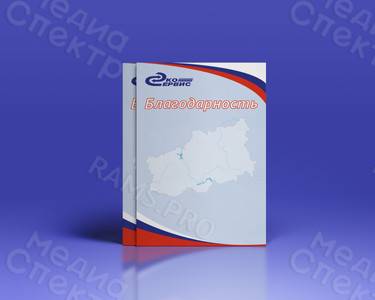 Благодарность официальная ООО «Эко-Сервис» — фото