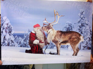 Постер 180х125см «Санта Клаус с оленем» — фото 4