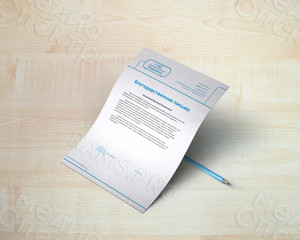 Фирменный бланк А4 «ГНС Редкино» — фото 2