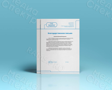 Фирменный бланк А4 «ГНС Редкино» — фото