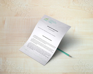 Фирменный бланк А4 для компании «БиоРесурс» — фото 2