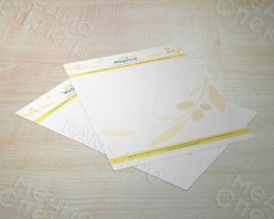 Фирменные бланки медицинского центра ЗОЖ «Норма» — фото 5