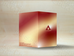 Папка для документов А4 «СтроимДоМ» — фото 5