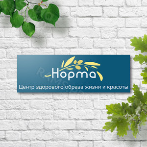 Вывеска 2.1х0.7м для медицинского центра ЗОЖ «Норма» — фото 1