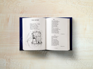 Книга лирики-сборник стихотворений Любови Гордеевой «Уроки птицы» — фото 3