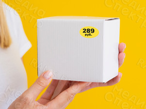 Наклейки-ценники формы ЭЛЛИПС «179-399 руб.» — фото 3