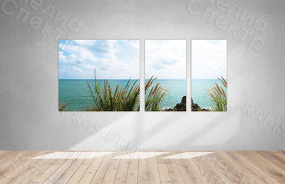 Модульные картины на холсте 3шт. «Камыш и море» — фото
