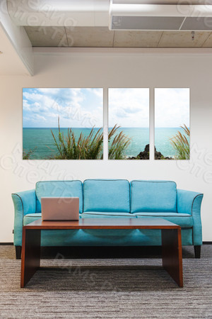 Модульные картины на холсте 3шт. «Камыш и море» — фото 2