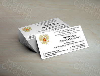 Визитка 90х50см стандартная односторонняя на картоне «Золотарев» — фото