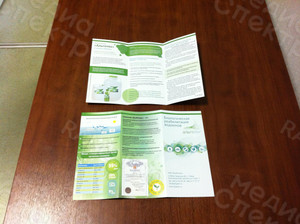 Евробуклет-презентация технологии «Альготек» — фото 6