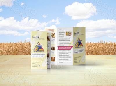 Евробуклет «ГОС НИИ: сорта хлеба» — фото
