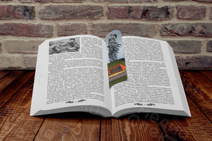 Книга-сборник прозы и стихов «Сорок километров с боями» — фото 4