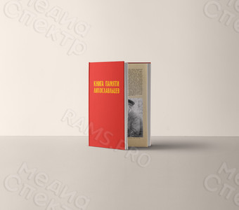 «Книга памяти лихославльцев» твердая обложка, формат А4, тиснение «золото» — фото