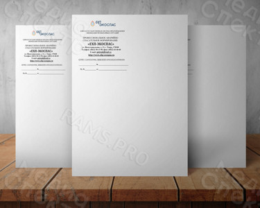 Бланки А4 «ЕХП-ЭКОСПАС» — фото