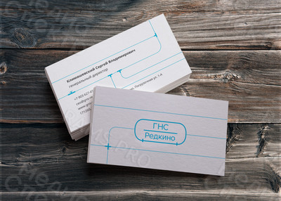 Визитки 90х50мм «ГНС-Редкино» — фото