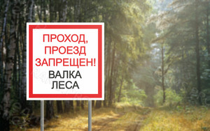 Табличка из оцинковки 50х50см «Валка леса» — фото 2