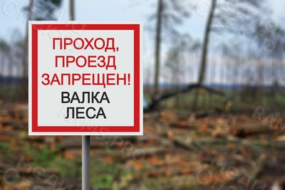 Табличка из оцинковки 50х50см «Валка леса» — фото