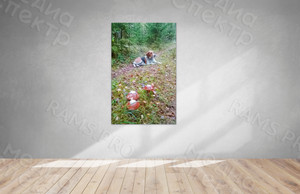 Фотокартина на холсте 30х50см «Собака и три гриба» — фото 1