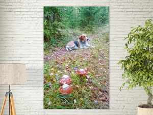 Фотокартина на холсте 30х50см «Собака и три гриба» — фото 2