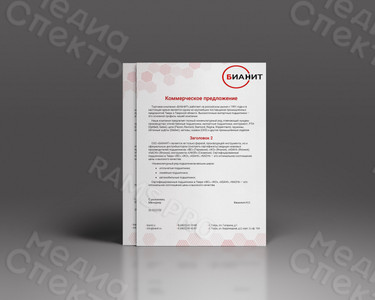 Фирменный бланк «БИАНИТ» — фото
