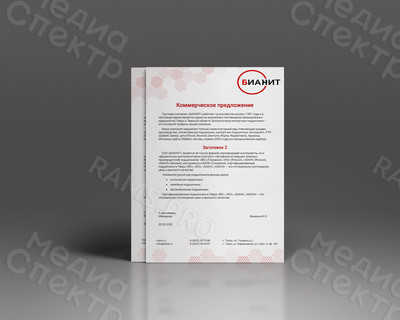 Фирменный бланк «БИАНИТ» — фото