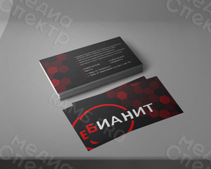 Визитка корпоративная для компании 90х50мм «БИАНИТ» — фото 1