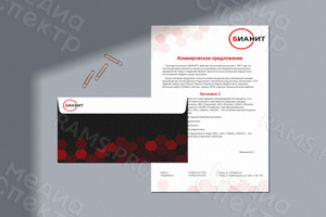 Логотип и фирменный стиль «БИАНИТ» — фото 2