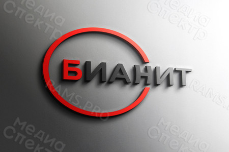 Логотип и фирменный стиль «БИАНИТ» — фото