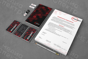 Логотип и фирменный стиль «БИАНИТ» — фото 4