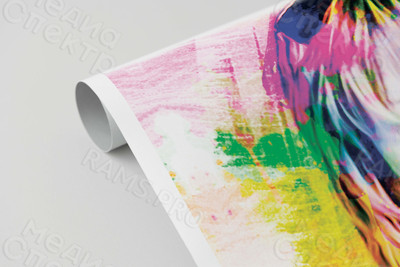 Фотокартина в стиле поп-арт на холсте 40х60см — фото