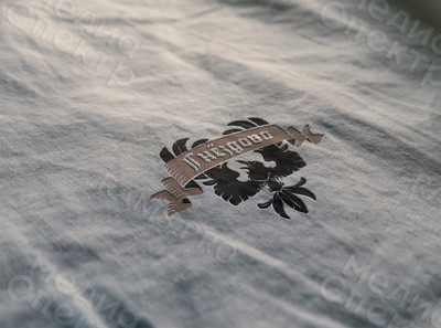 Разработка логотипа средневекового городища «Гнёздово» — фото