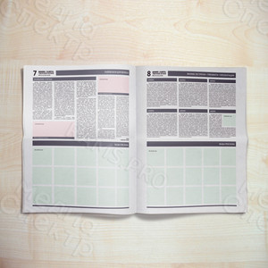 Разработка дизайн-концепции/сетки для верстки номеров периодической газеты формата А3 «БИЗНЕС ГАЗЕТА.ТВЕРСКОЙ РЕГИОН» — фото 3