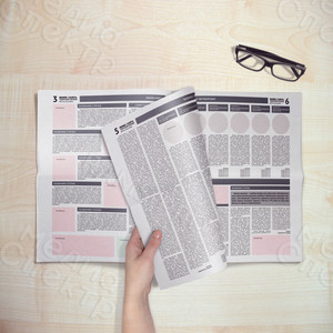 Разработка дизайн-концепции/сетки для верстки номеров периодической газеты формата А3 «БИЗНЕС ГАЗЕТА.ТВЕРСКОЙ РЕГИОН» — фото 2