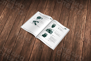 Каталог-инструкция A4 «LINCOLN. Quicklub P203 — фото 1