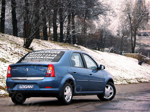 Наклейка на автостекло «Дезинсекция» — фото 1
