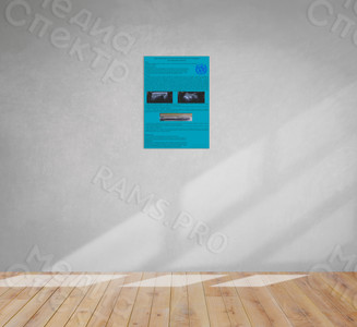 Плакат А1 курсовая работа «Лучевая диагностика» — фото