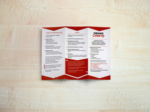 Евробуклет «МедиаСпектр» — фото 3