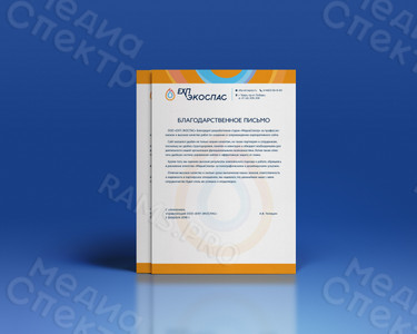 Фирменный бланк для компании «ЕХП-ЭКОСПАС» — фото