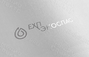 Логотип и фирменный стиль для компании «ЕХП-ЭКОСПАС» — фото 5
