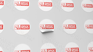 Разработка логотипа и фирменного стиля компании «PROFрацион» — фото 4