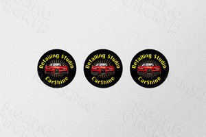 Логотип для автостудии «CarShine» — фото 2